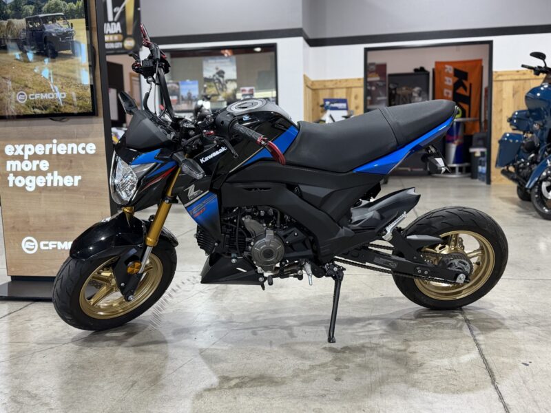 2018 Kawasaki Z125 PRO (UA09196)