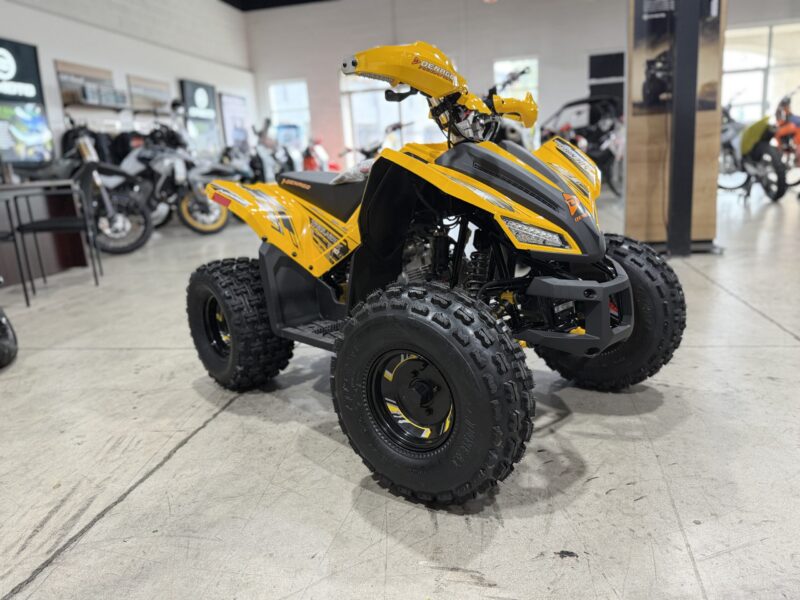 2026 Denago Trail Hawk 10 Yellow (D308622)